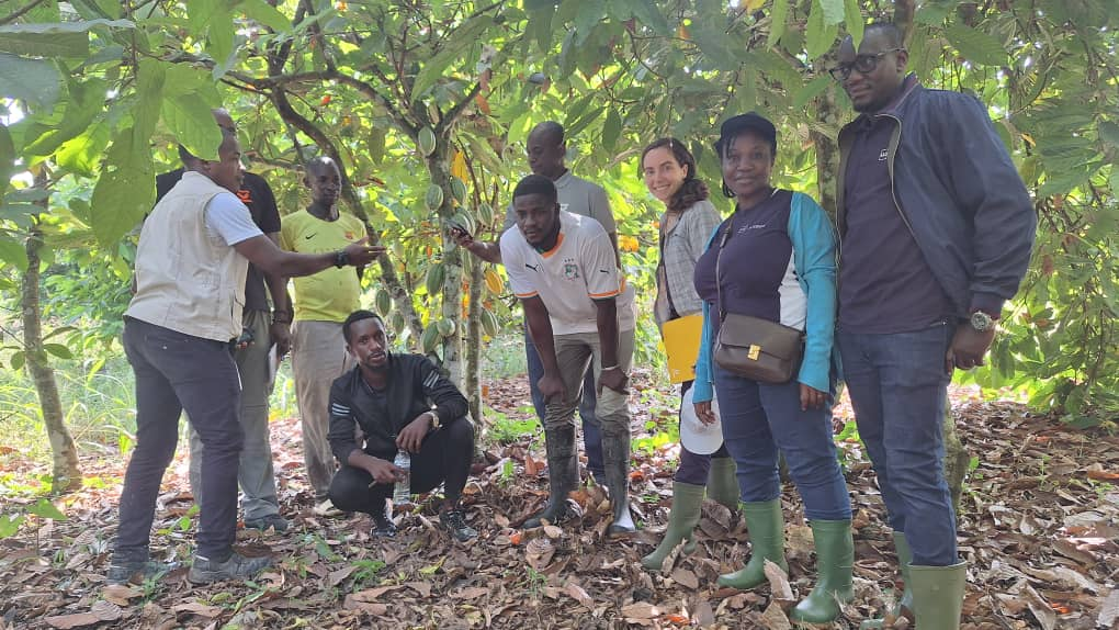 Agriculture coopérative