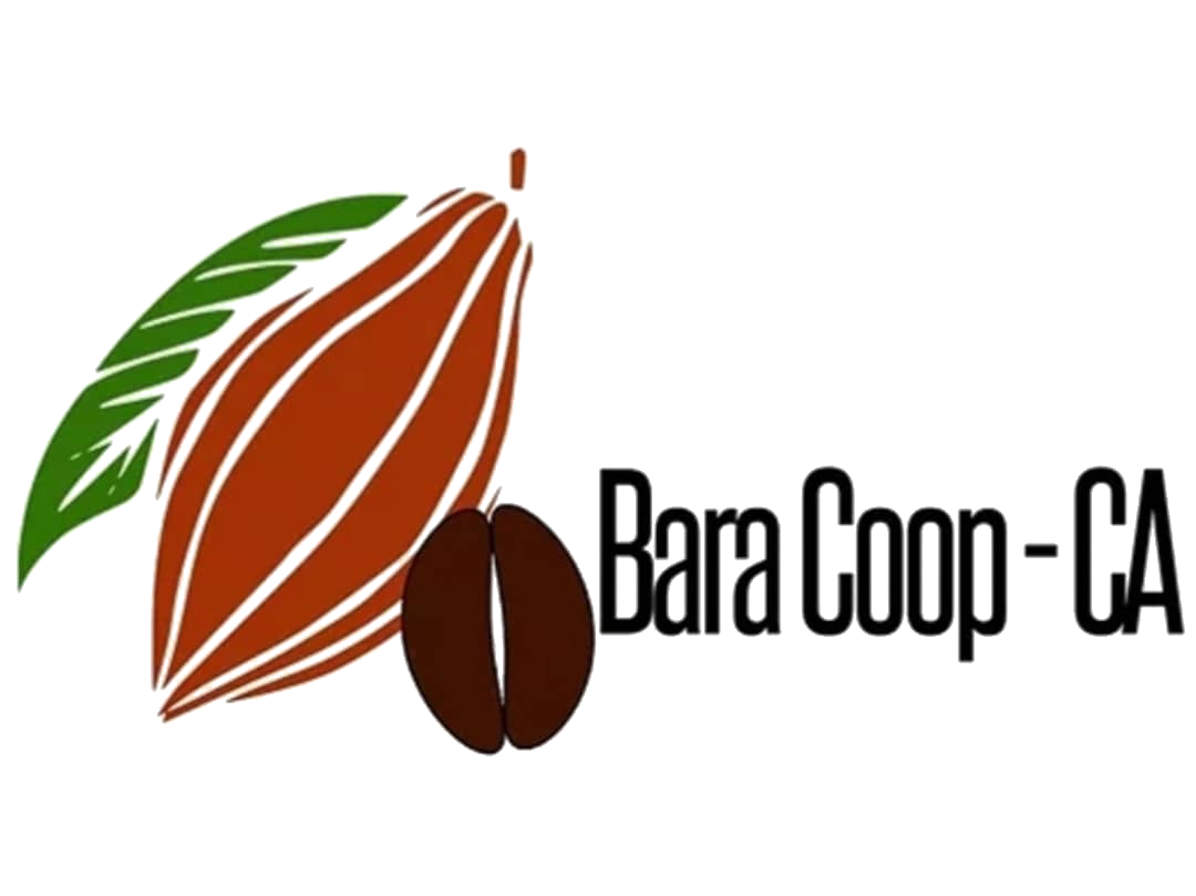 Logo BARA